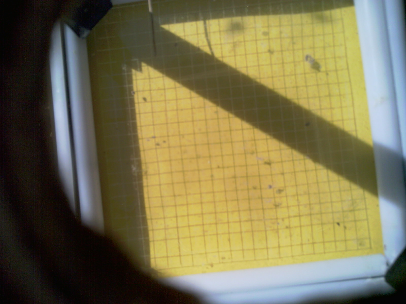 20260714_101905_UXGA_Q3.jpg