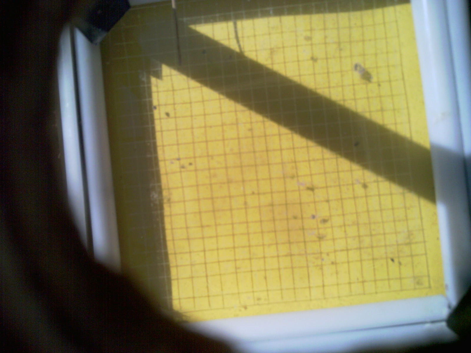 20260714_103243_UXGA_Q3.jpg